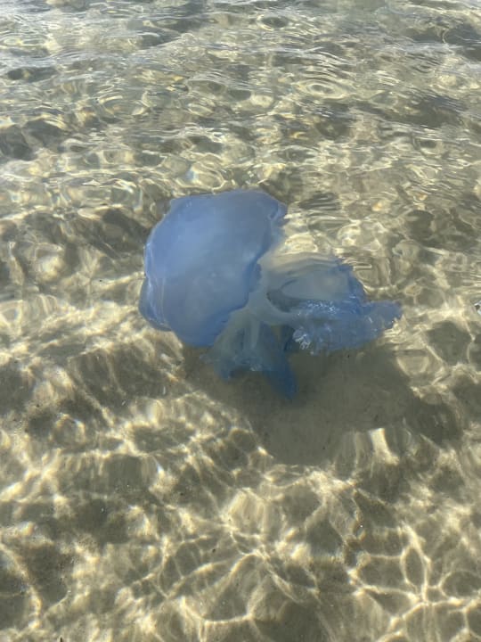 Strand Medina Solaria & Thalasso