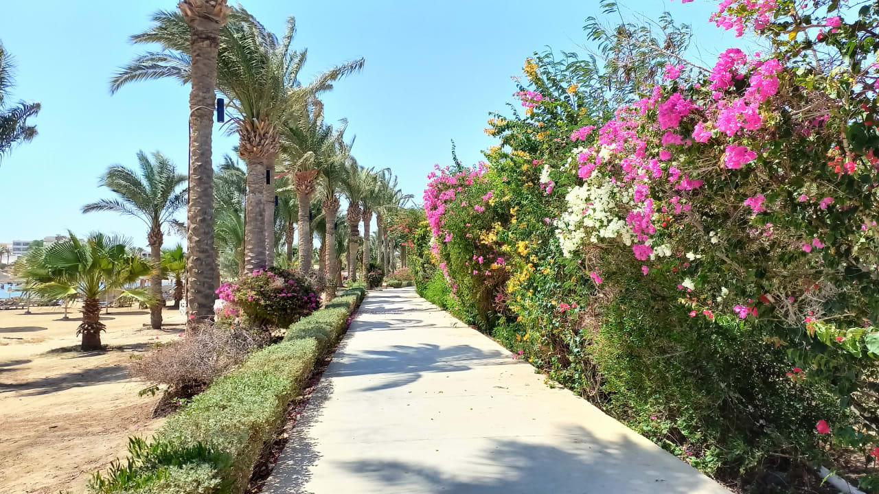 Gartenanlage Brayka Bay Resort