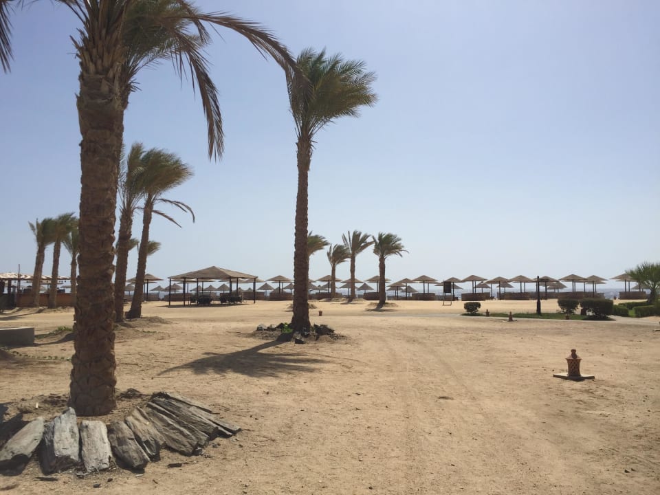 Strand Pickalbatros Palace Hotel-Port Ghalib