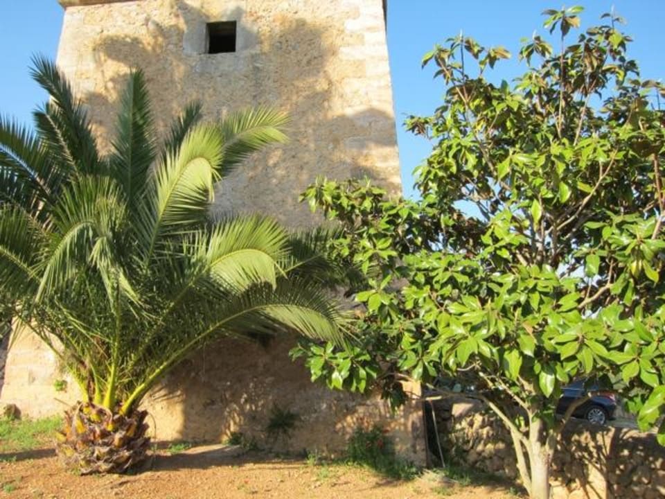 Garten  Principal Son Amoixa