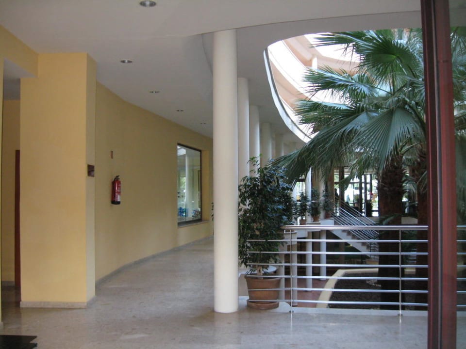 Palmen im offenen Bereich des Treppenhauses allsun App.-Hotel Orient Beach