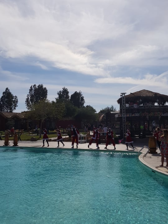Pool Pickalbatros Jungle Aqua Park Resort - Neverland Hurghada