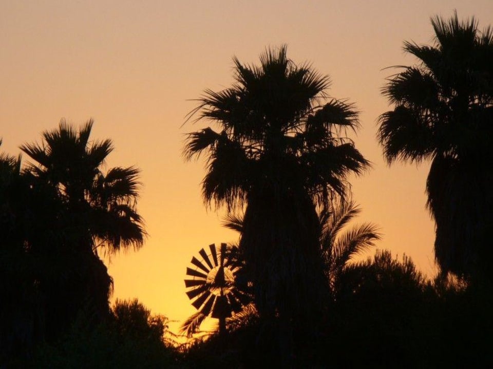 Sonnenuntergang Protur Safari Park Aparthotel