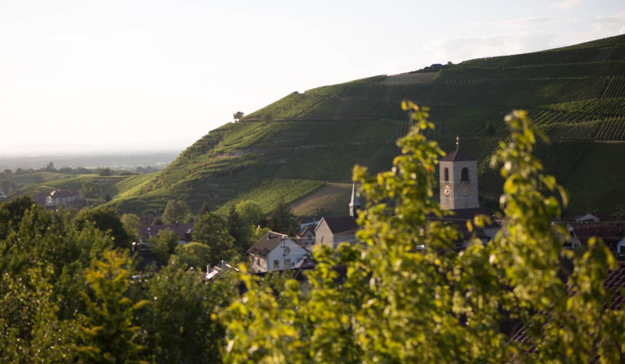 Ausblick Dorf Hotel Heiligenstein