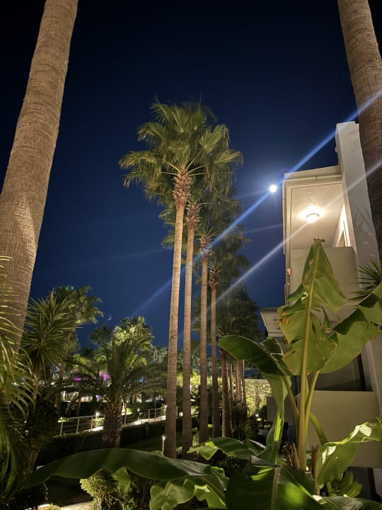 Ausblick Blue Lagoon Resort