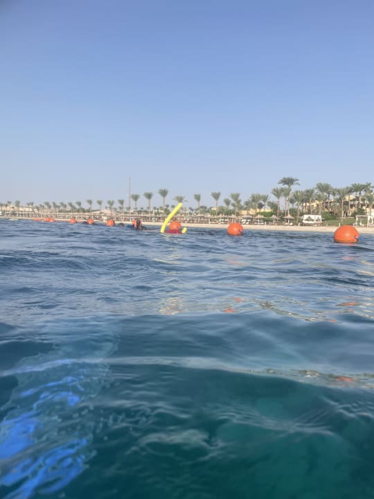 Strand Steigenberger Coraya Beach - Adults only