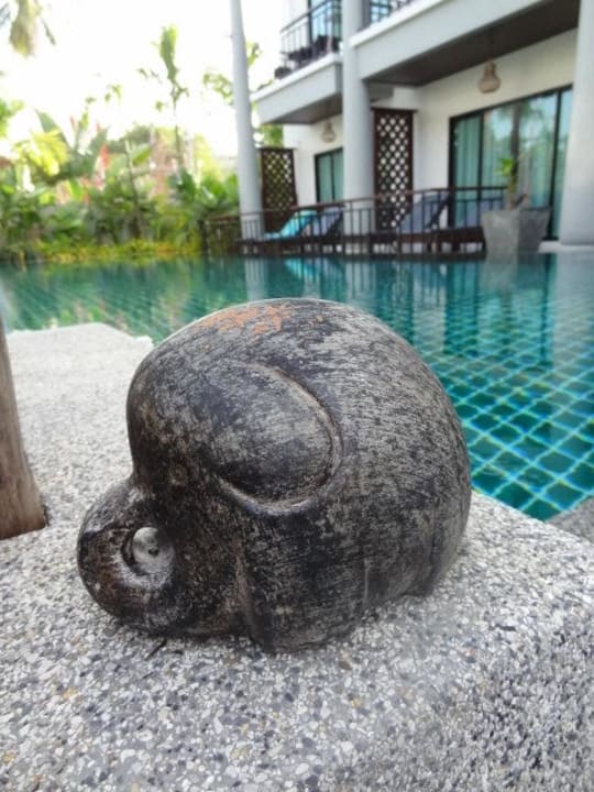 Pool Hotel Navatara Phuket Resort