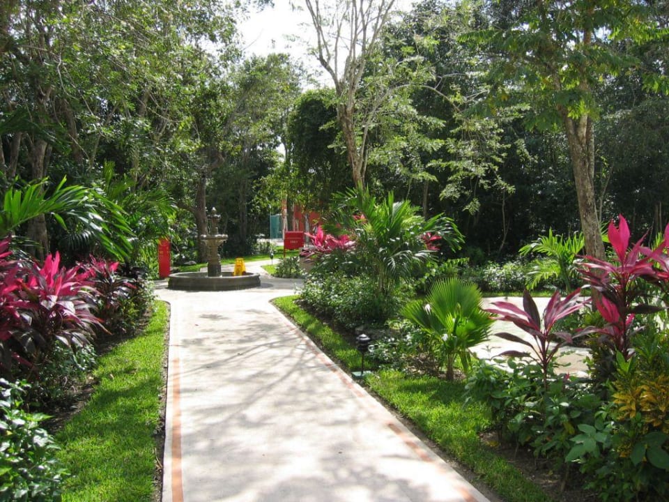 Weg durch die Anlage Occidental Cozumel