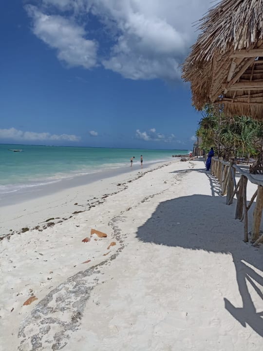 Strand Ocean Paradise Resort & Spa