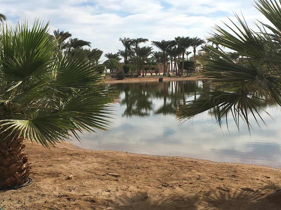 Garten Pharaoh Azur Resort