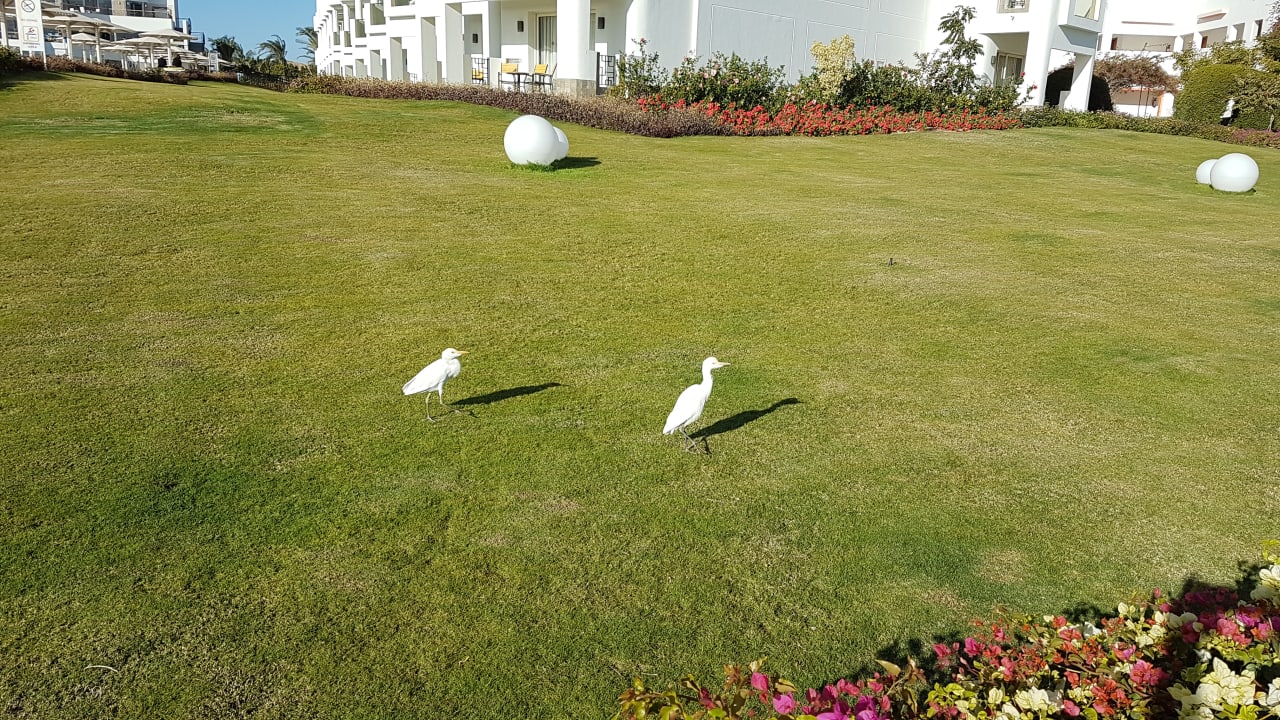 Außenansicht Fantazia Resort Marsa Alam
