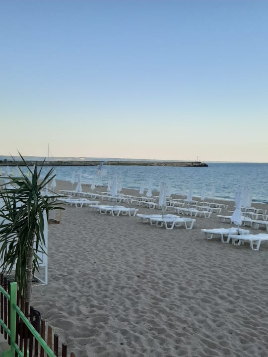 Strand Sentido Marea