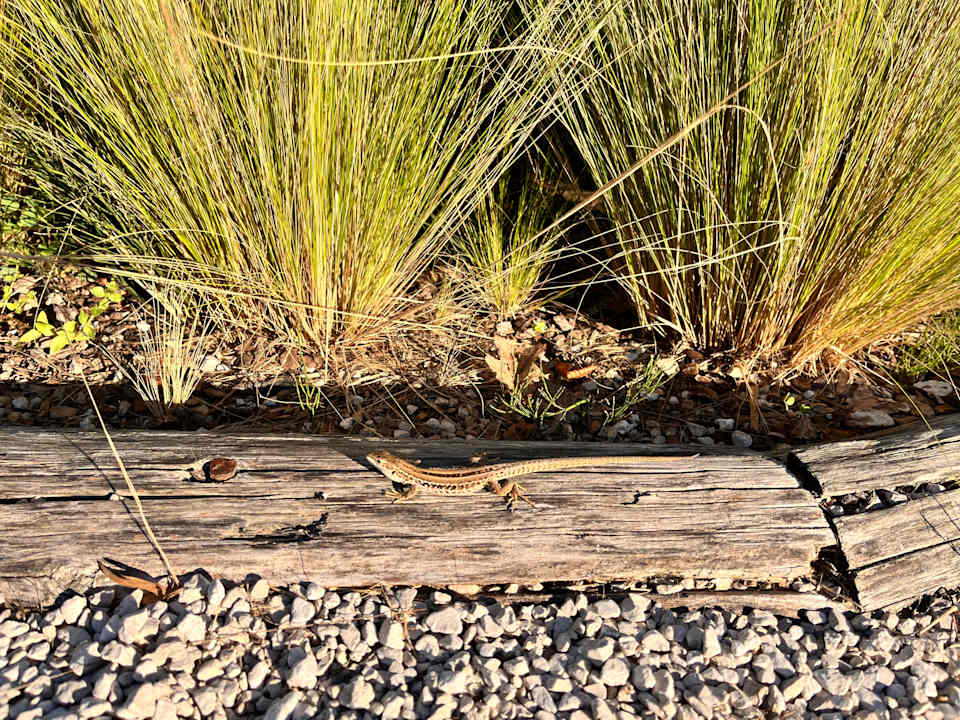 Gartenanlage Lino delle Fate - Eco Village Resort