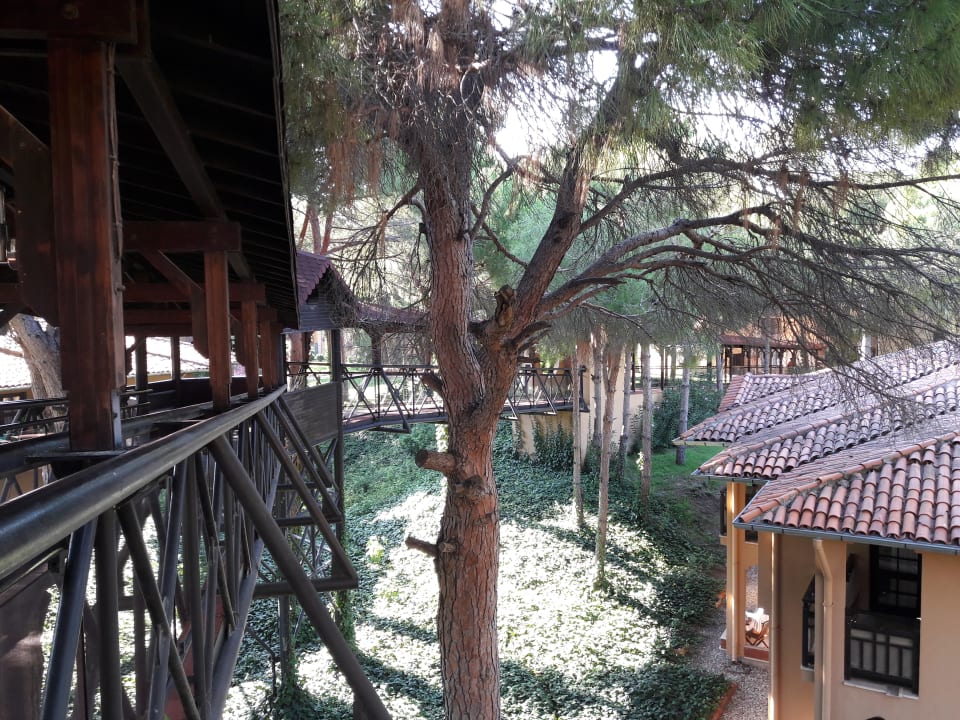 Sonstiges Asteria Family Belek
