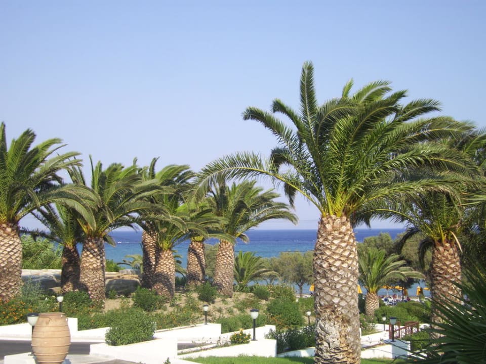 Einfach wunderschön Lagas Aegean Village