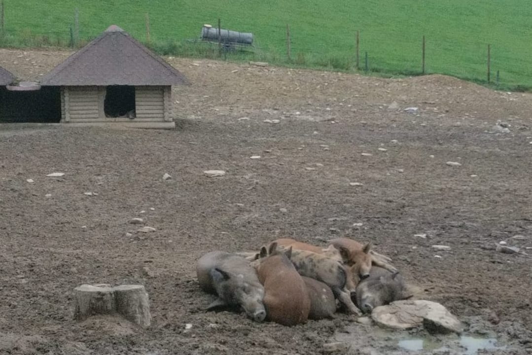 Sonstiges Die Hochrieß