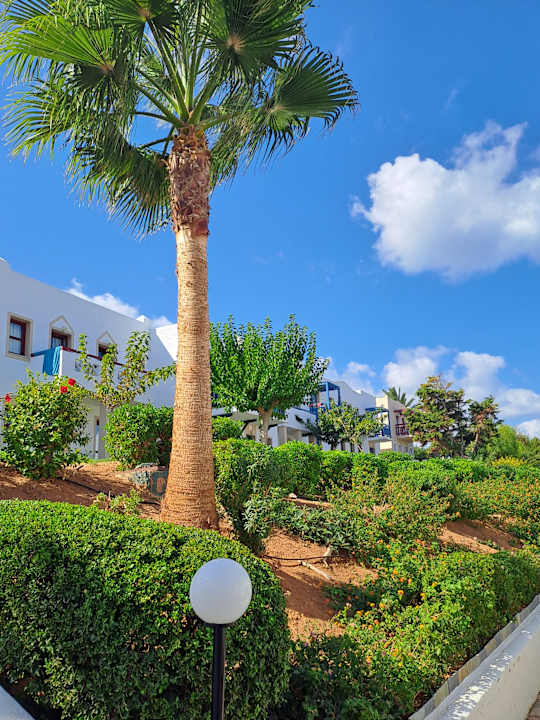 Gartenanlage Mitsis Cretan Village