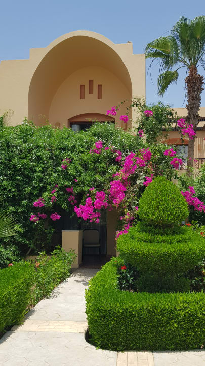 Gartenanlage Steigenberger Coraya Beach - Adults only