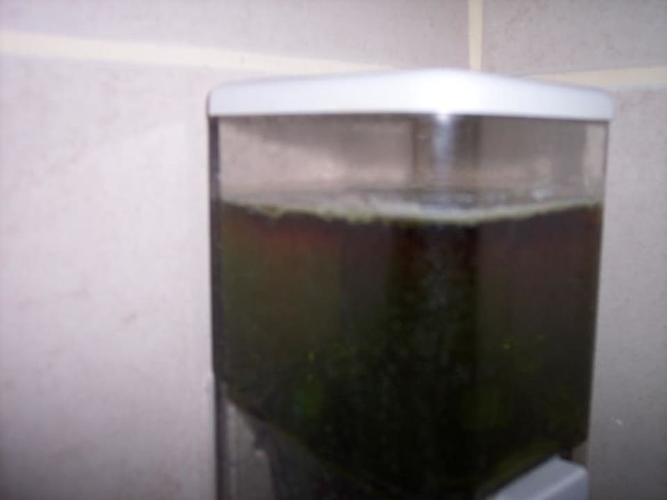 Seifenspender in Dusche Enki Hotel