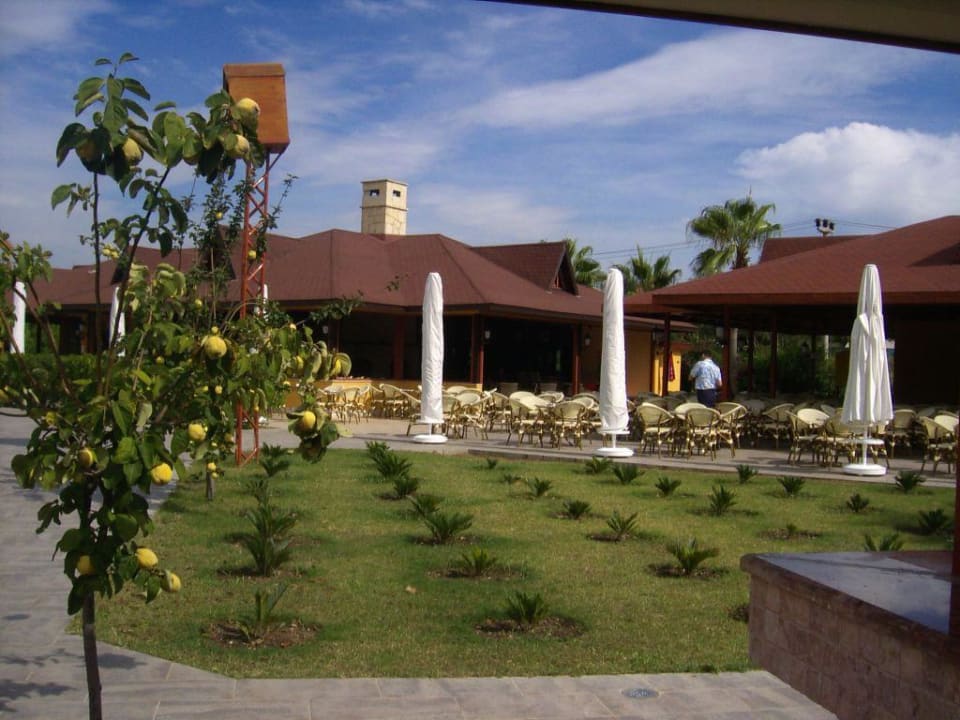 Die große Poolbar von außen Club Grand Side