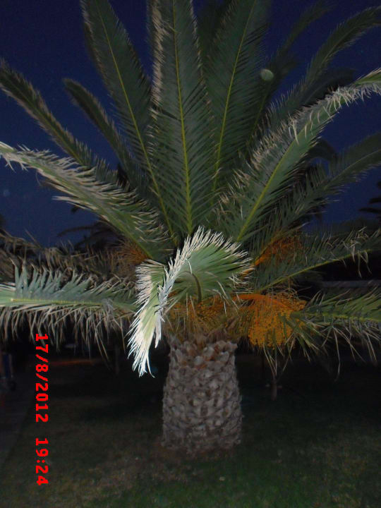 Palme Civitel Creta Beach