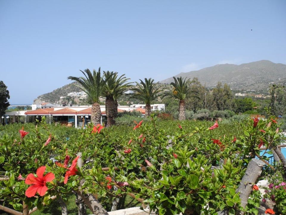 Der gepflegte Garten Paralos Irini Mare