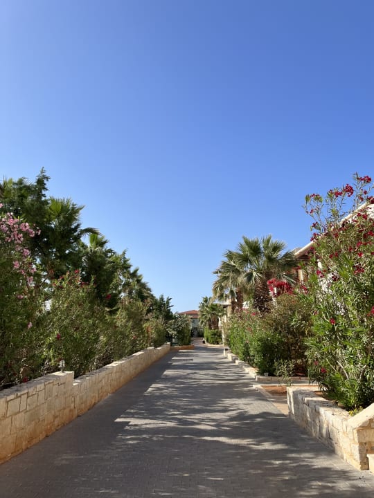 Gartenanlage Stella Palace Aqua Park Resort