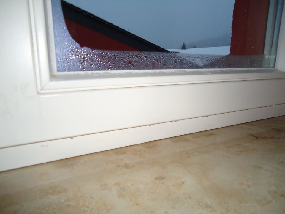 Zu viel Wasser Hotel Carpe Diem