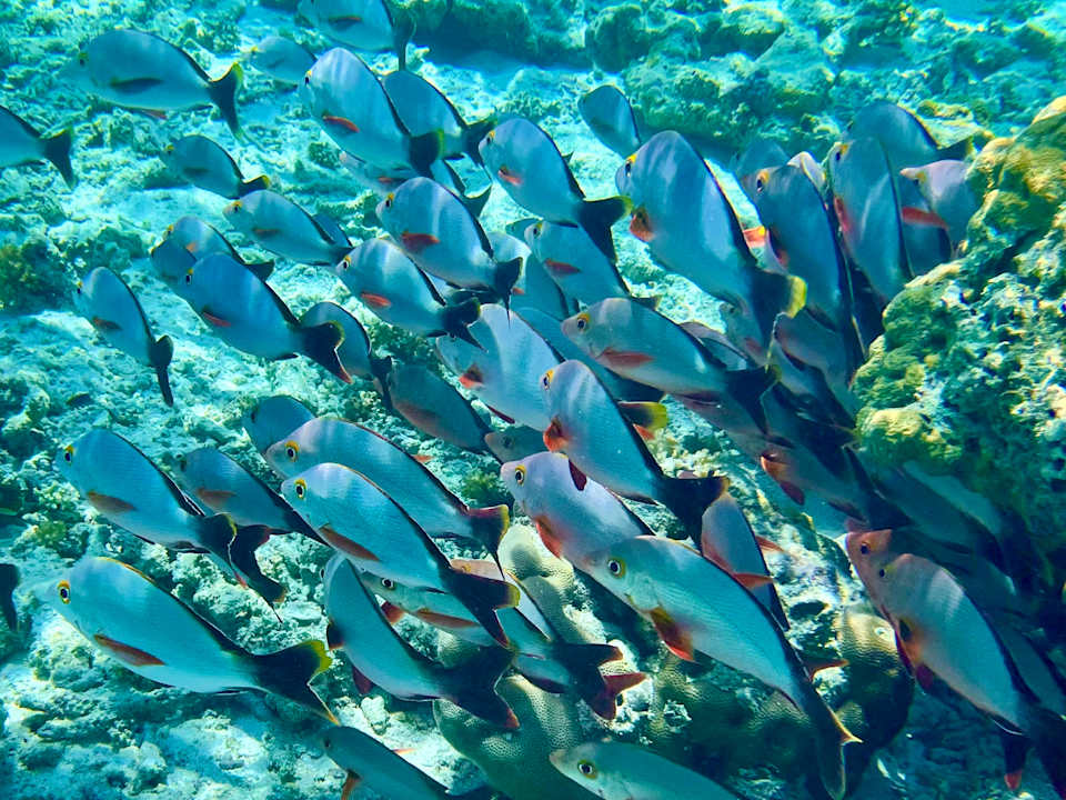 Sport & Freizeit Jawakara Islands Maldives