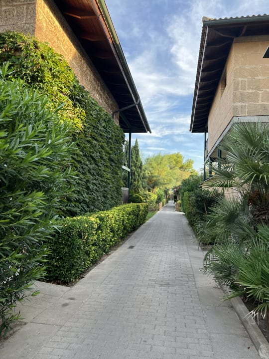 Gartenanlage PortBlue Club Pollentia Resort & Spa