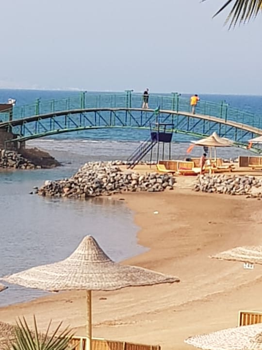 Ausblick Desert Rose