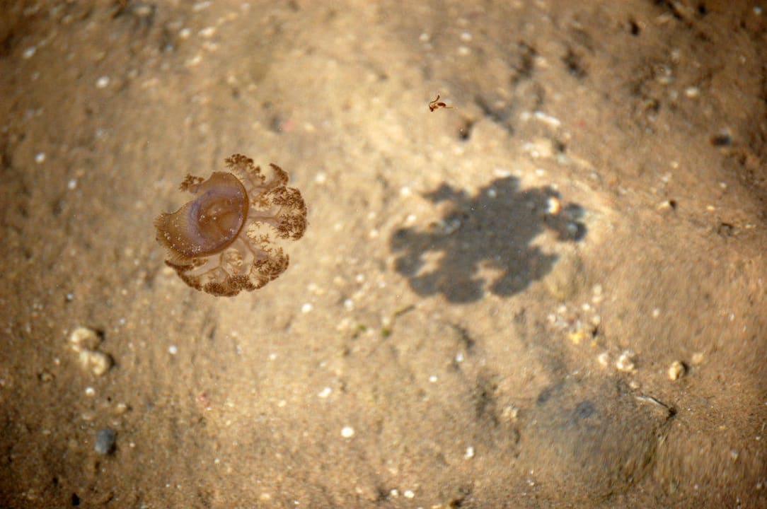 Qualle Stella Beach Resort & Spa Makadi Bay