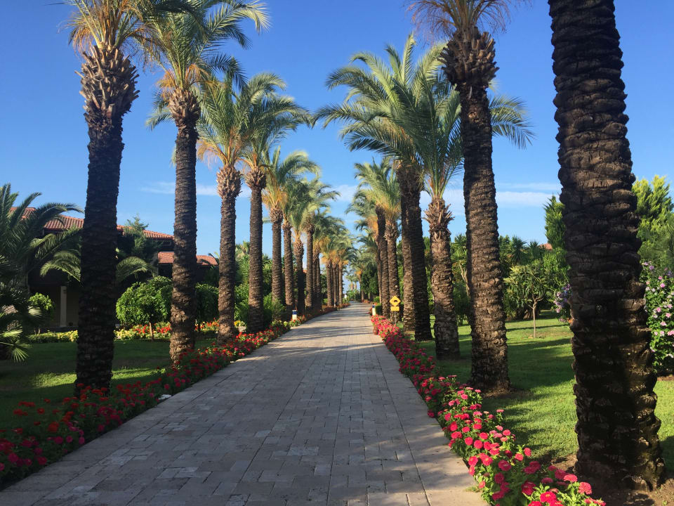 Gartenanlage TUI BLUE Palm Garden