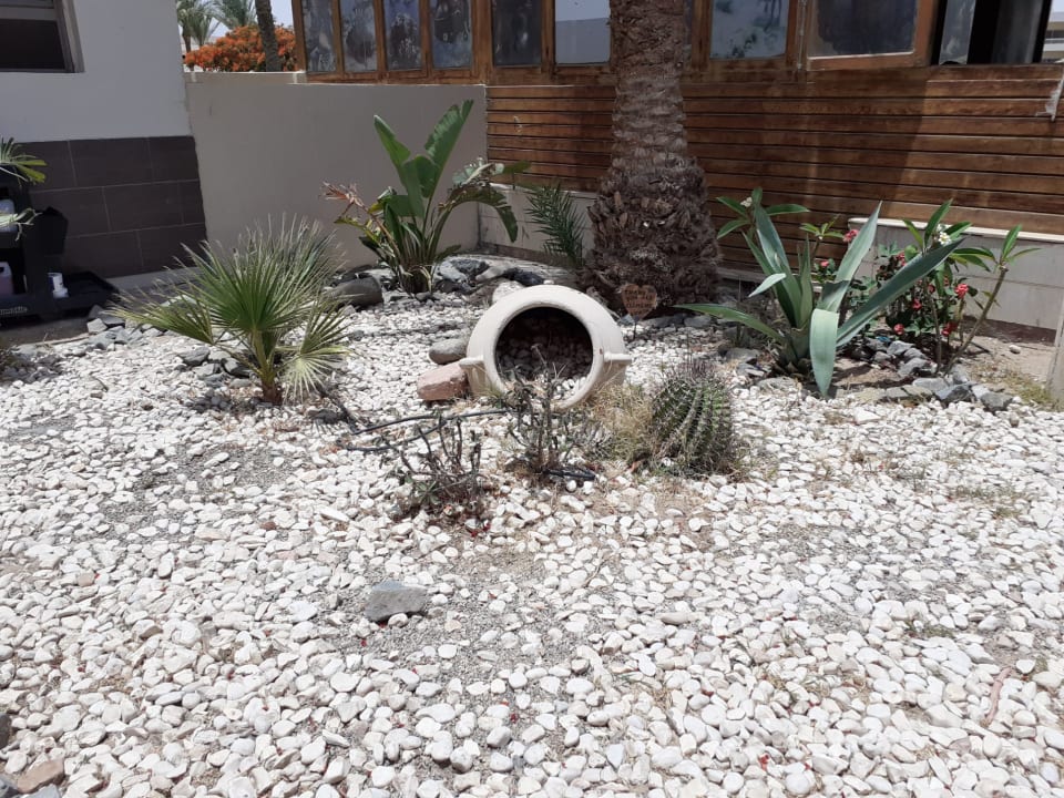 Gartenanlage Hurghada Long Beach Resort