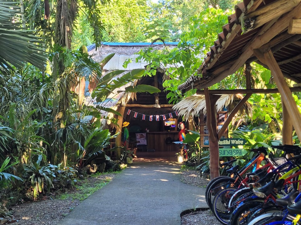 Lobby Cariblue Beach and Jungle Resort