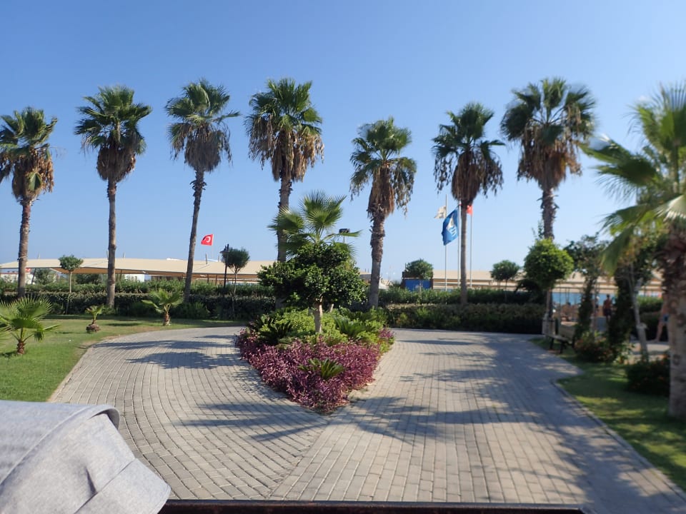 Strand Royal Seginus