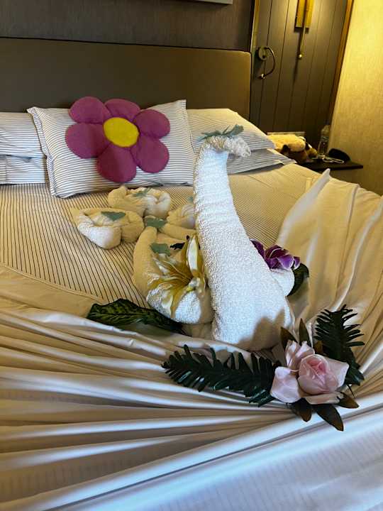 Zimmer Arum Barut Collection