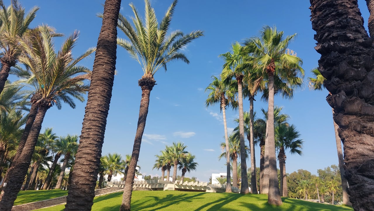 Gartenanlage Monachus Family Resort Sorgun