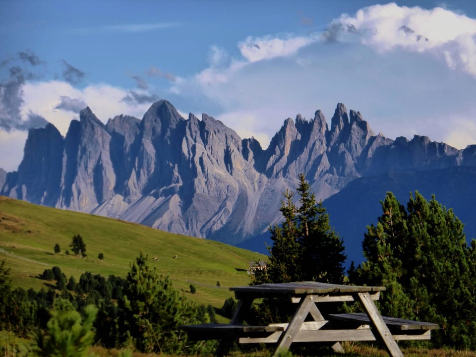 Aussicht von Wanderung Bio Kräuterhof Oberpalwitter