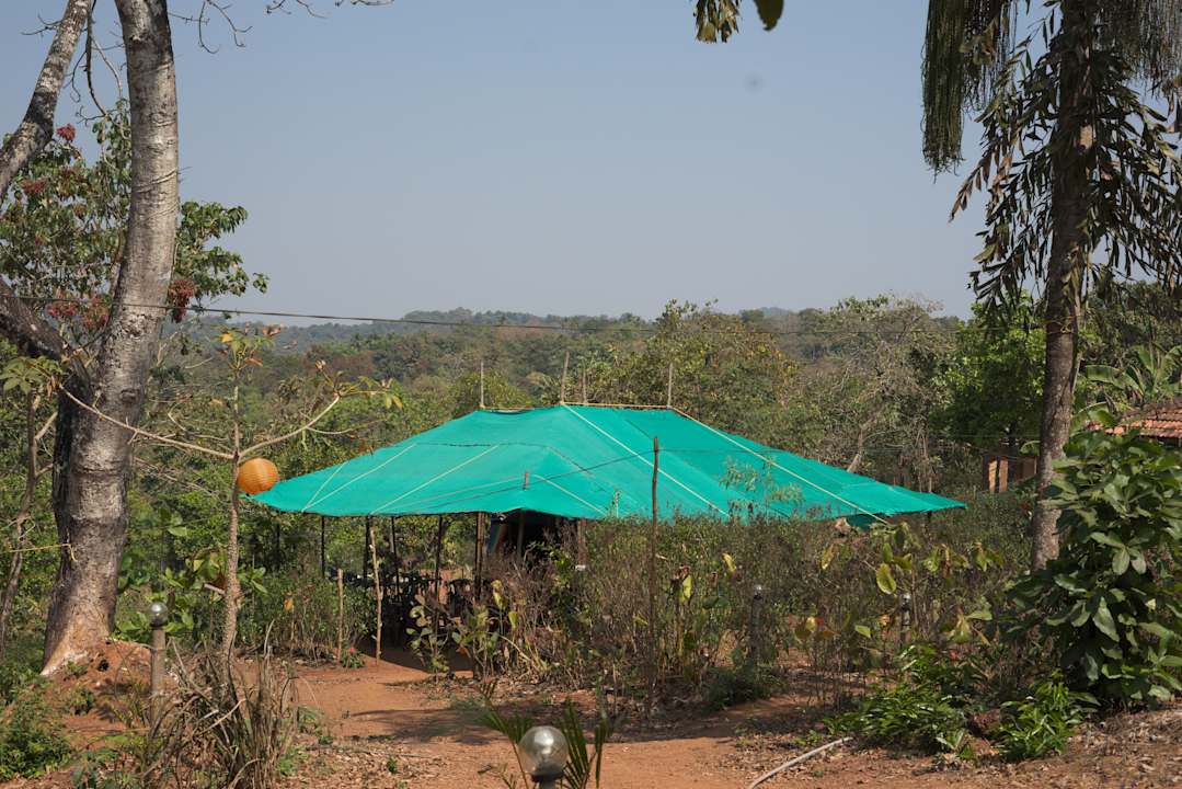 Ausblick Credo Jungle Resort - Agonda