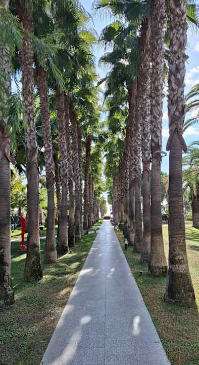 Gartenanlage Hotel Miramare Beach