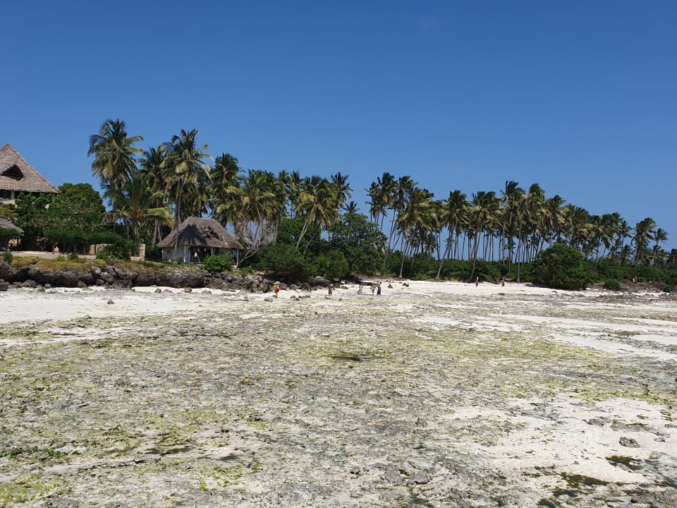 Strand Reef & Beach Resort