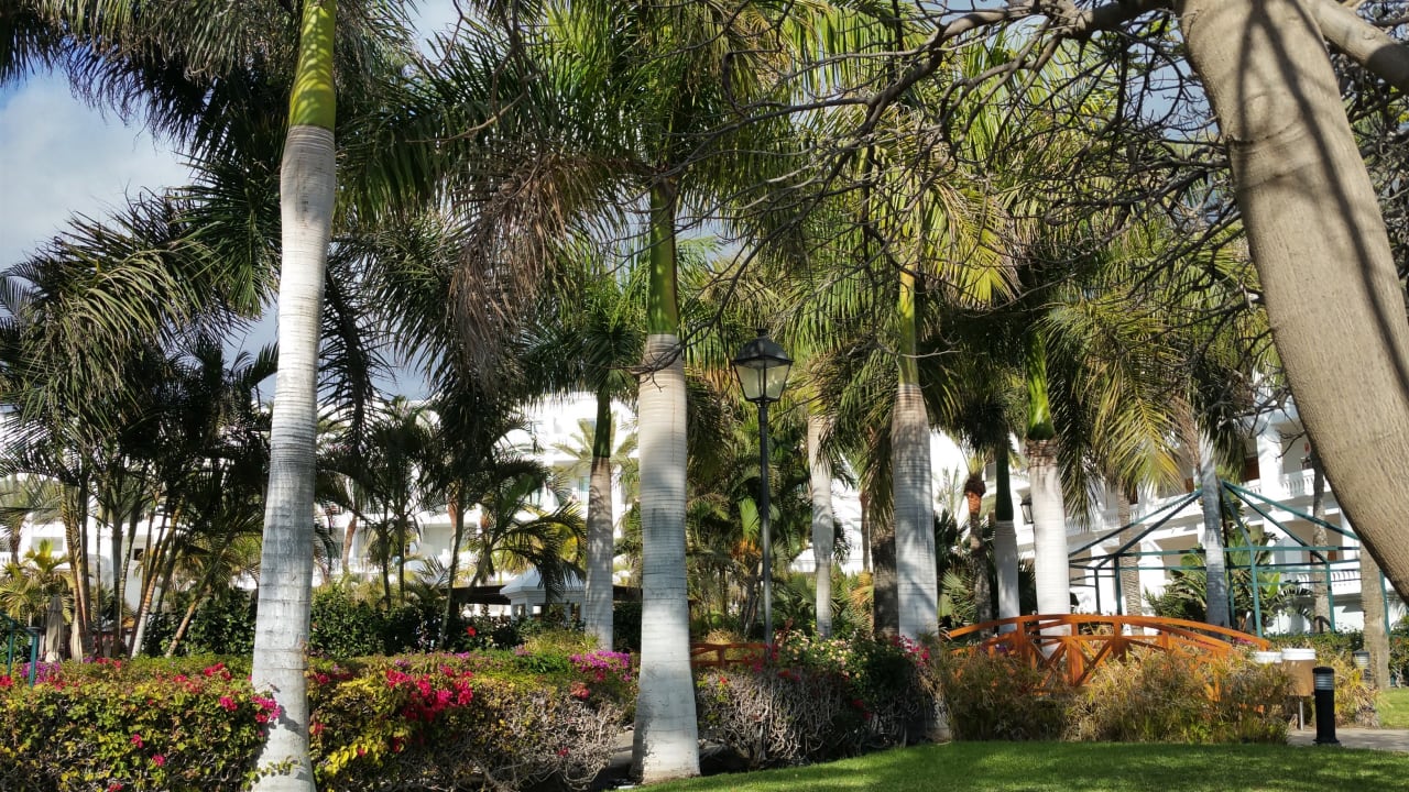 Gartenanlage Hotel Riu Palace Maspalomas Adults Only