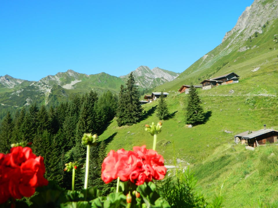 Blick von der Bichlalm Hotel Klausnerhof