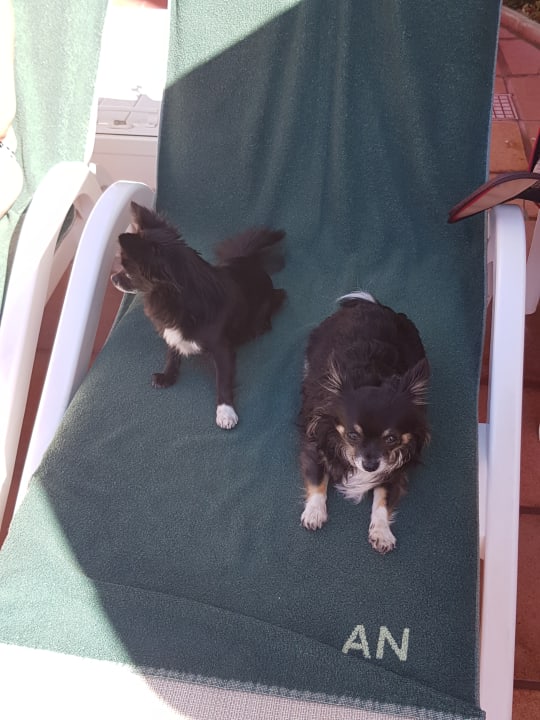 Emmi mit Ihrer Urlaubsfreundin Shiwa Apartamentos Nogalera