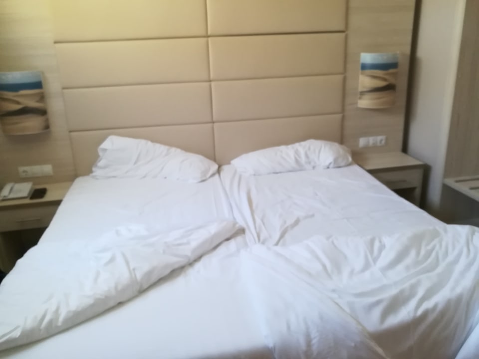 Zimmer Bull Dorado Beach & Spa