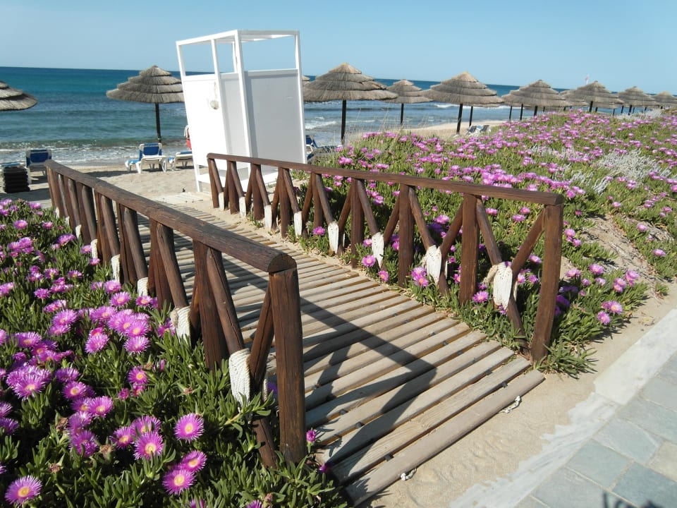 Steg zum Hotelstrand Lyttos Beach Hotel
