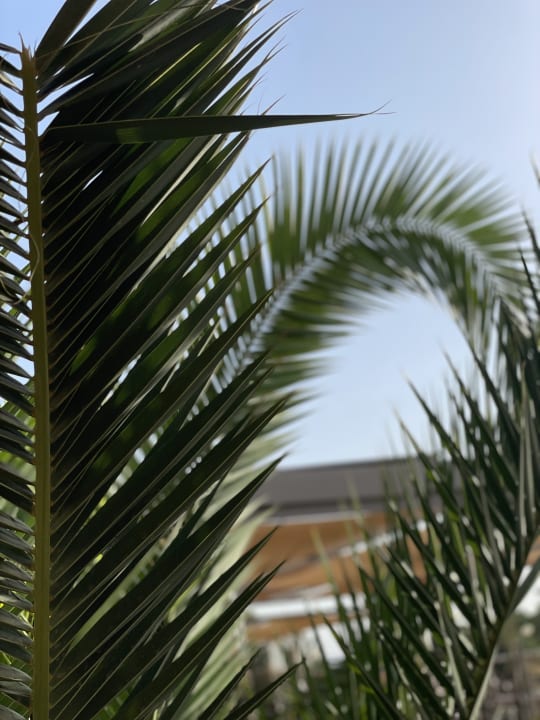 Aublick Hotel Mariant Park