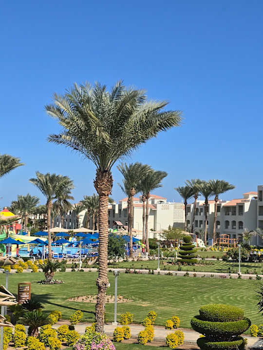 Außenansicht Pickalbatros Dana Beach Resort - Hurghada