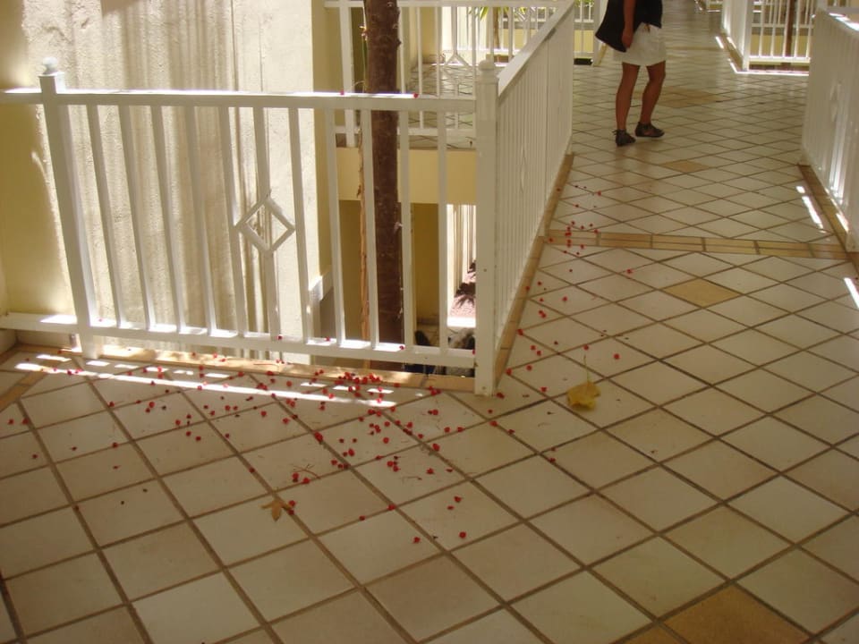 Blätter und Dreck liegen hier tagelang herum R2 BUGANVILLA Hotel & Spa